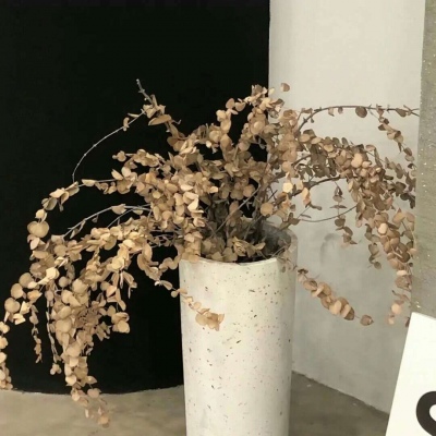 永昌FurryQQ群介绍